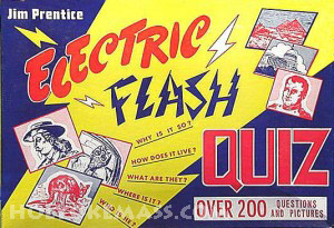 Electric Flash Game
