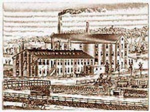 Excelsior Paper Mill