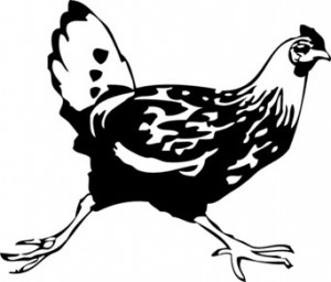 fleeing chicken