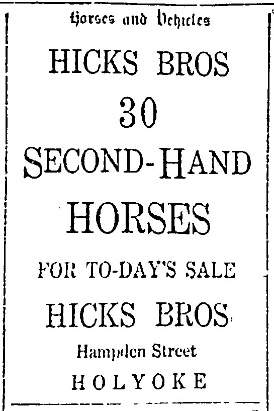 Used Horse Sale
